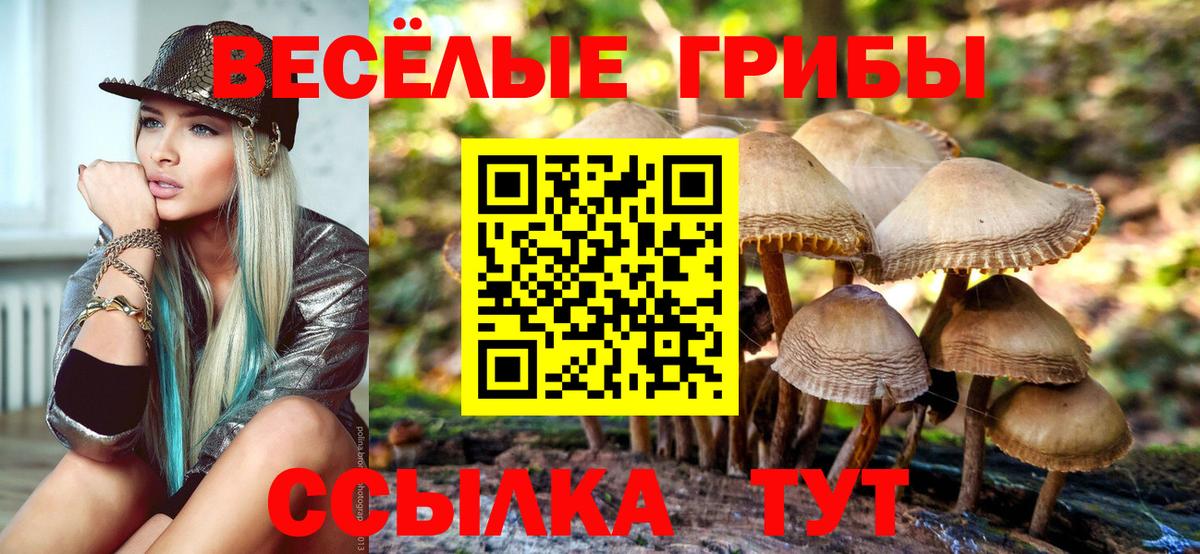 Псилоцибиновые грибы MAGIC MUSHROOMS Чистополь